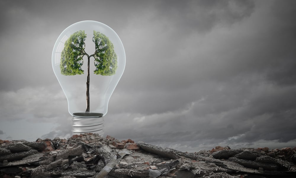 Ecology concept with green tree inside of light bulb